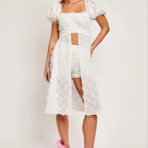 Embroidery Lace Mesh Long Top & High Waisted Shorts Set